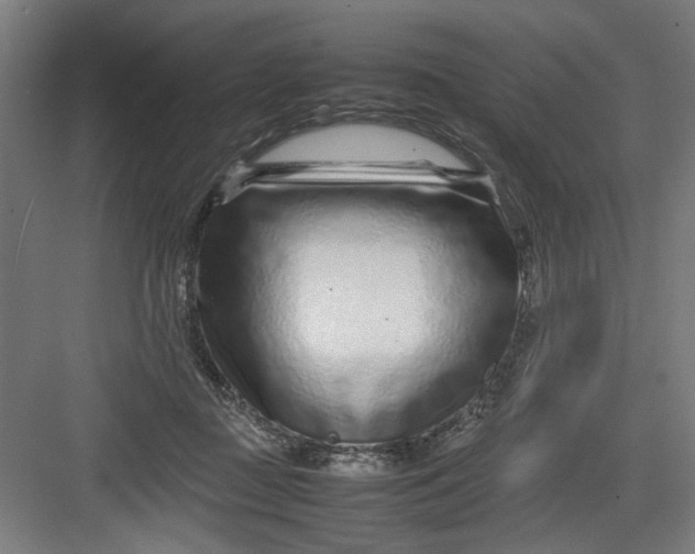 X0000082750363200702162005
