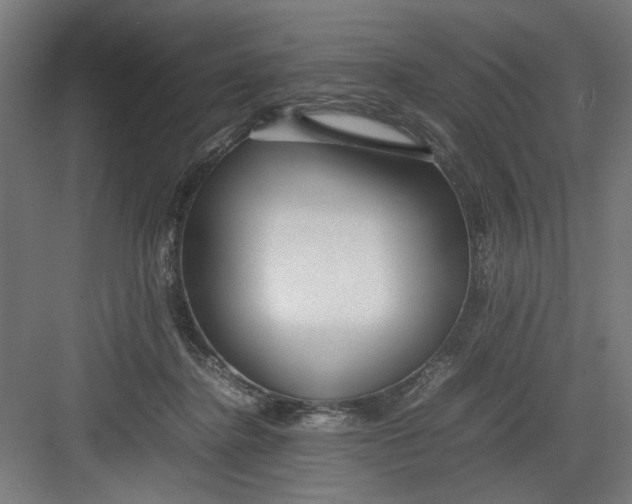 X0000082750364200702162005