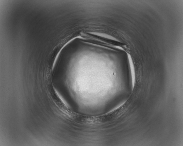 X0000082750367200702162005