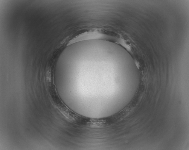 X0000082750368200702162005