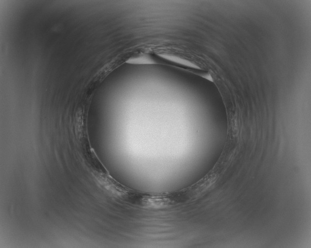X0000082750372200702162006