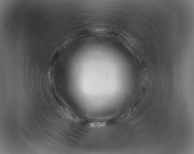 X0000082750373200702162006