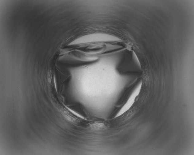 X0000082750374200702162006
