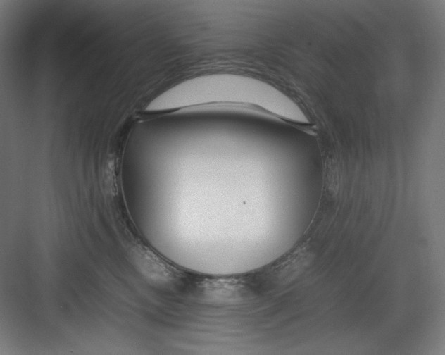X0000082750378200702162006