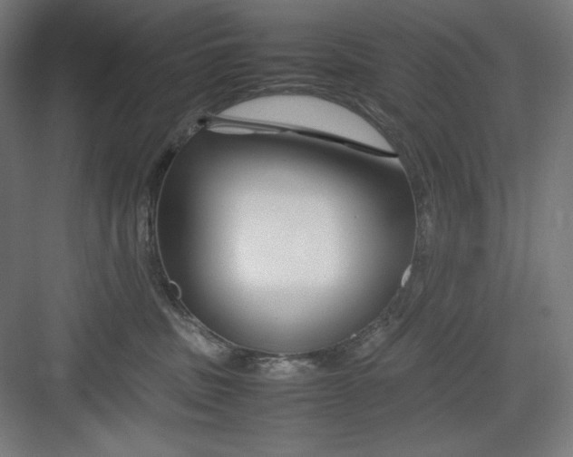 X0000082750379200702162006
