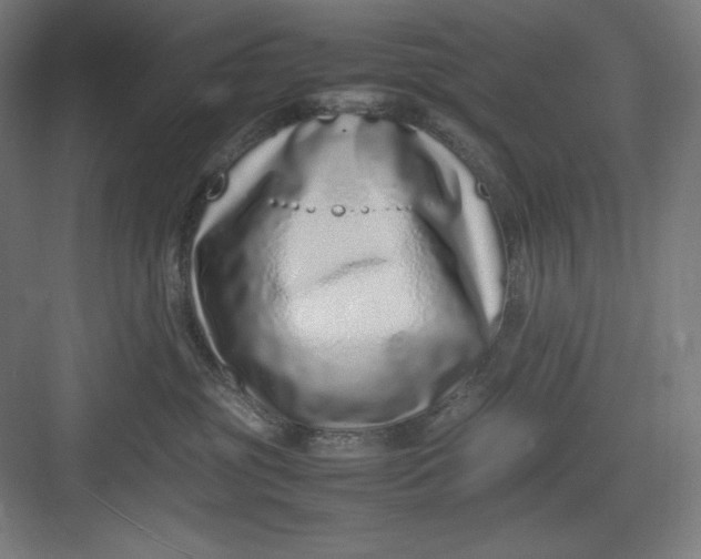 X0000082750381200702162006