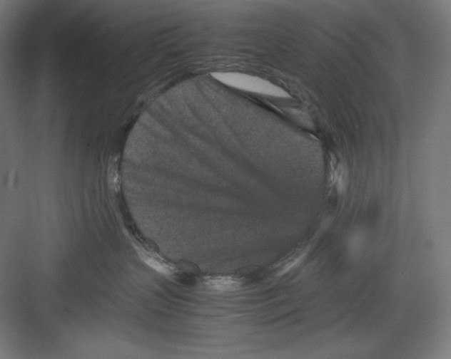 X0000082750383200702162006