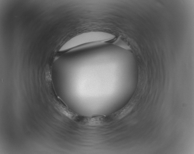 X0000082750384200702162006