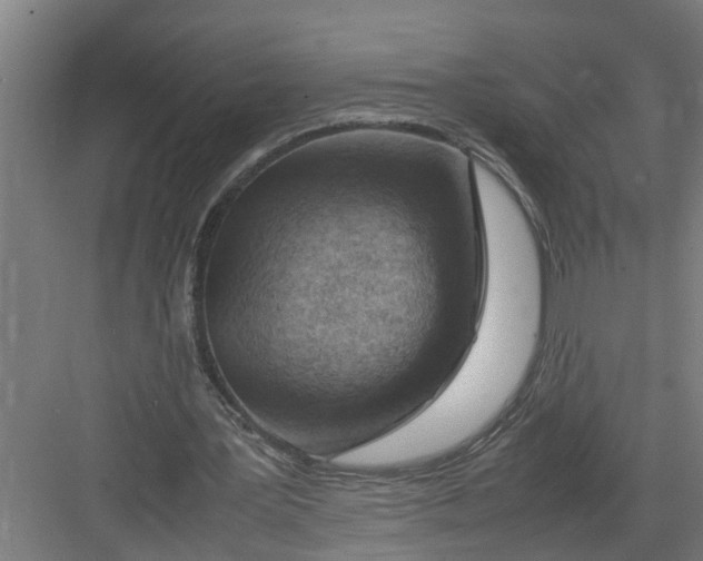 X0000082750387200702162005