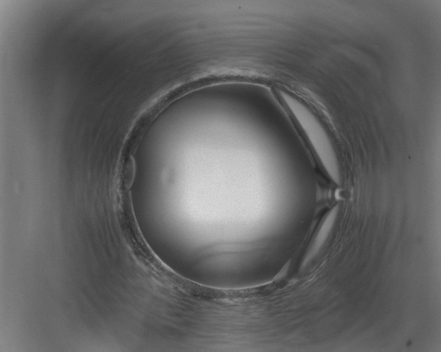 X0000082750388200702162005