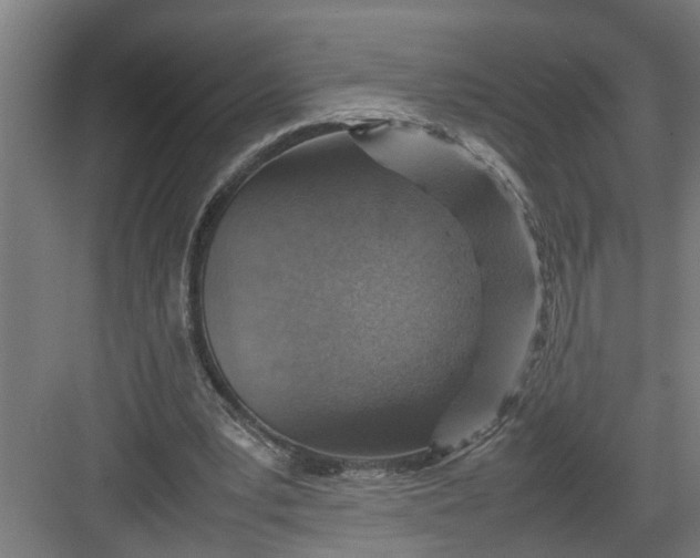X0000082750391200702162005