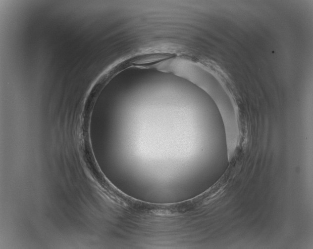 X0000082750392200702162005