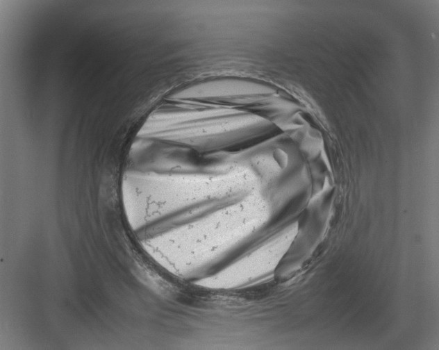 X0000082750393200702162005