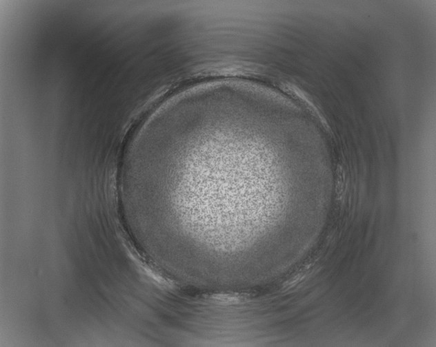 X0000082750394200702162005
