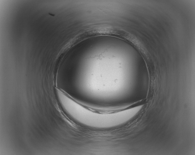 X0000082750397200702162005