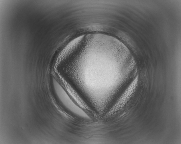 X0000082750398200702162005