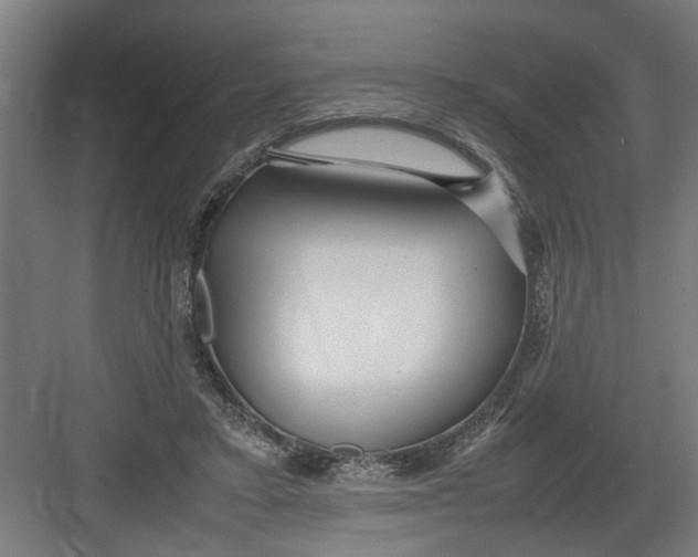 X0000082750403200702162005
