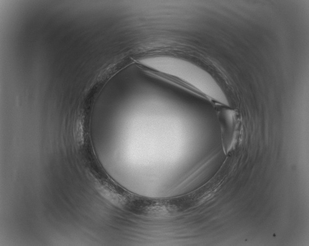 X0000082750404200702162005