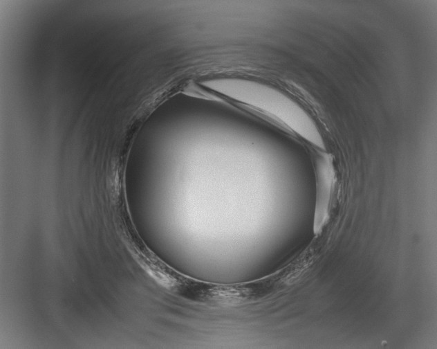 X0000082750405200702162005