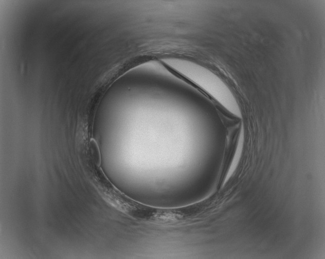 X0000082750407200702162005