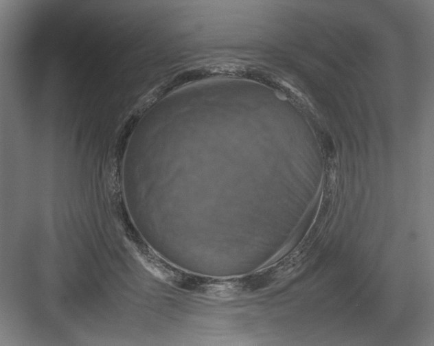 X0000082750411200702162004