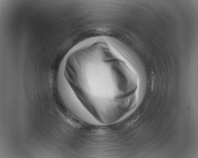 X0000082750412200702162004