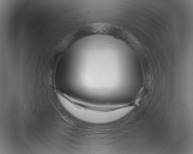 X0000082750413200702162004