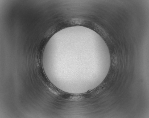 X0000082750414200702162004