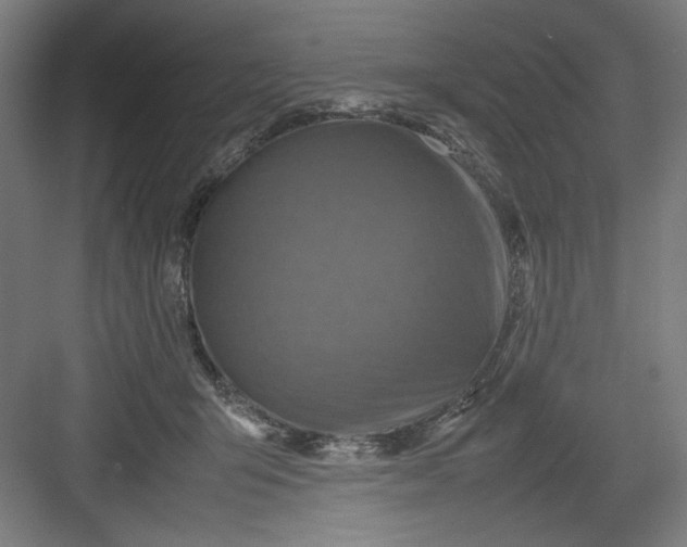 X0000082750415200702162004