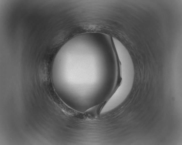 X0000082750416200702162004