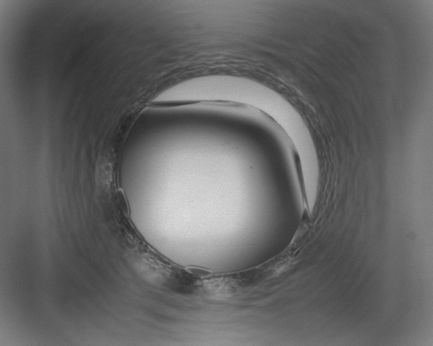 X0000082750417200702162004