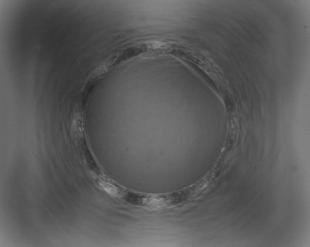 X0000082750419200702162004