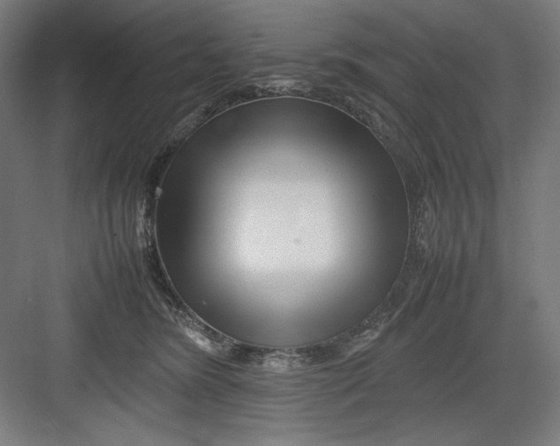 X0000082750420200702162004