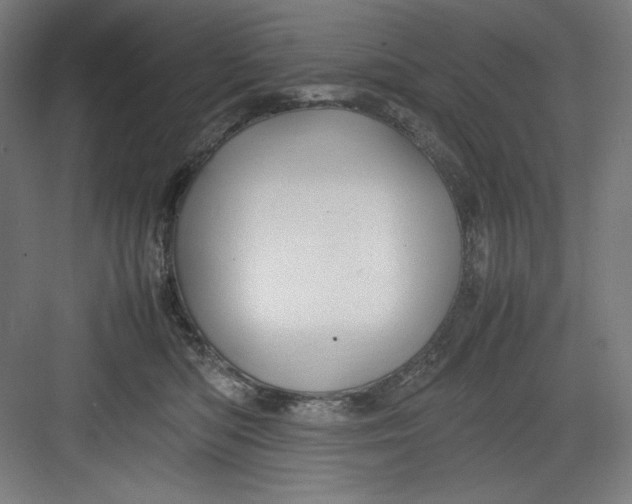 X0000082750422200702162004