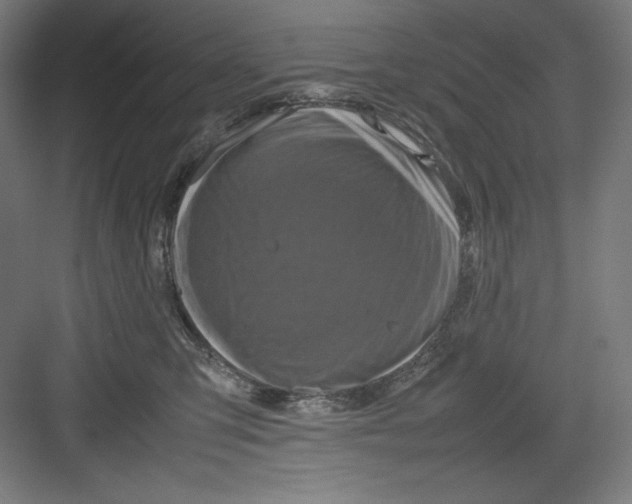 X0000082750423200702162004