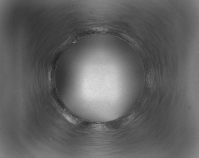 X0000082750424200702162004