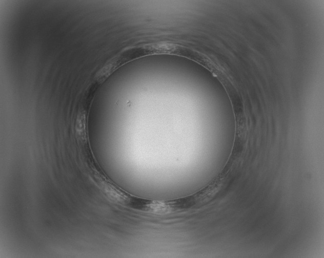 X0000082750425200702162004
