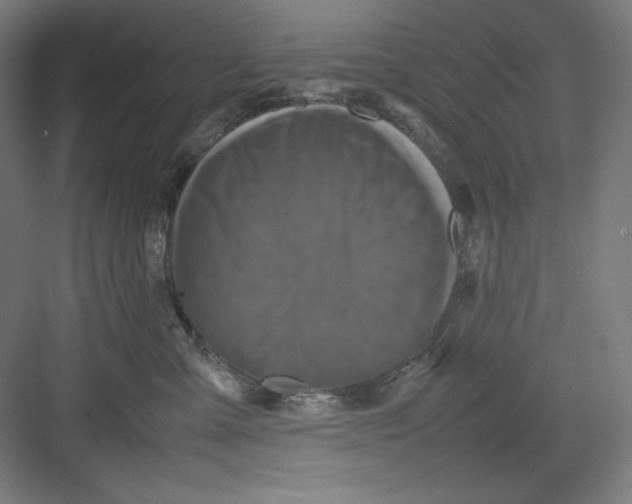 X0000082750427200702162004