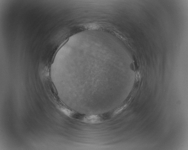 X0000082750431200702162004