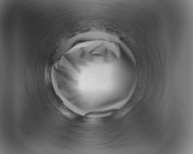 X0000082750432200702162004