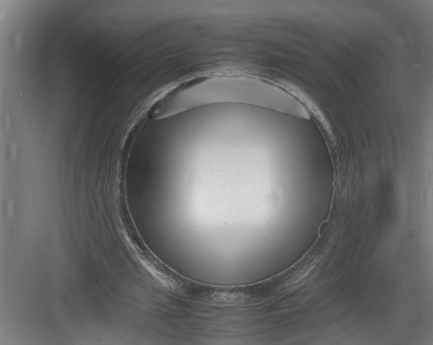 X0000082750437200702162003
