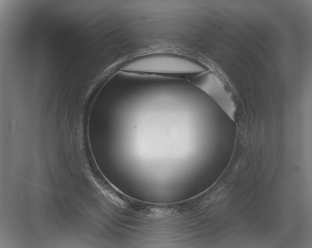 X0000082750442200702162003
