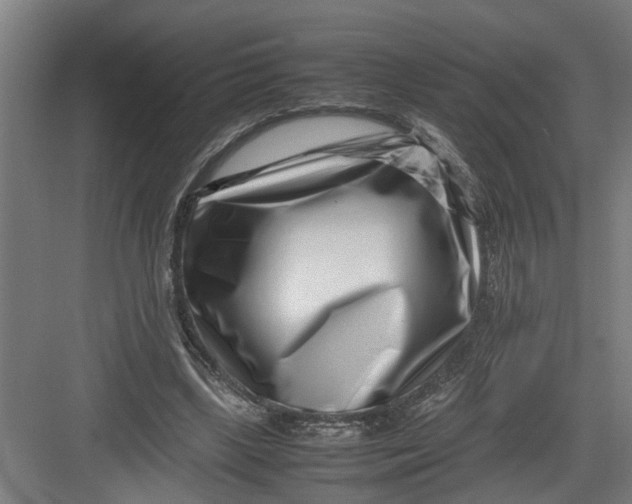 X0000082750443200702162004