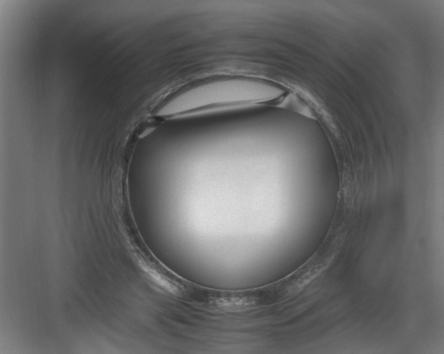X0000082750445200702162004