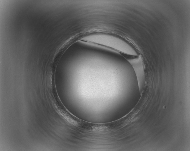 X0000082750446200702162004