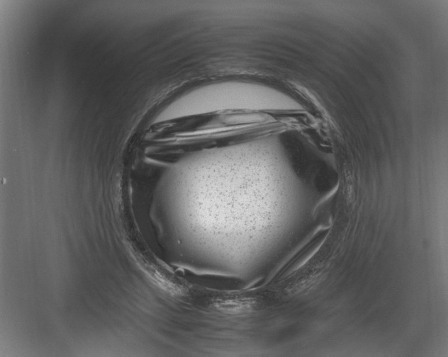 X0000082750447200702162004