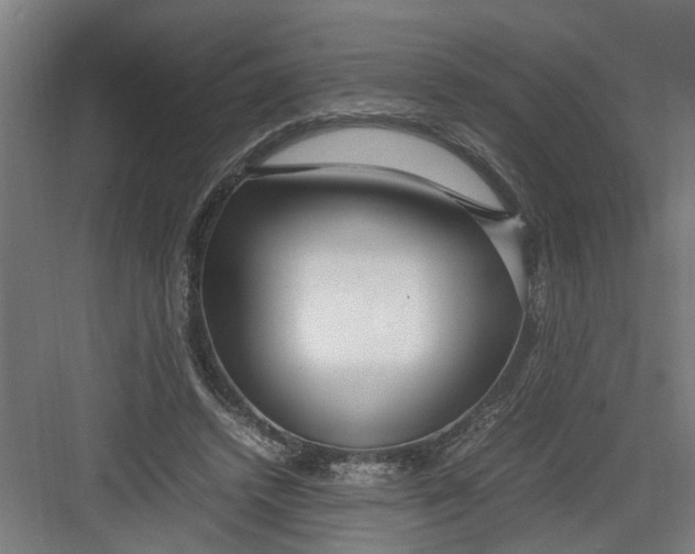 X0000082750448200702162004