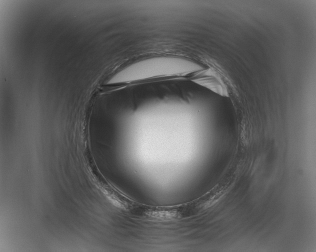 X0000082750449200702162004
