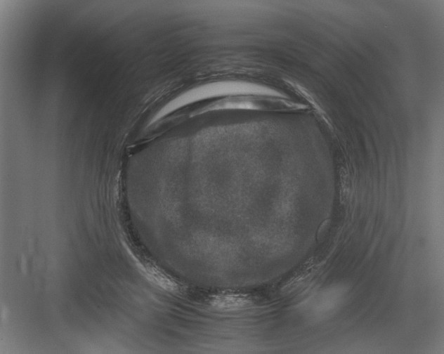 X0000082750451200702162004