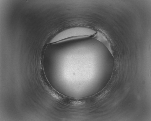X0000082750453200702162004